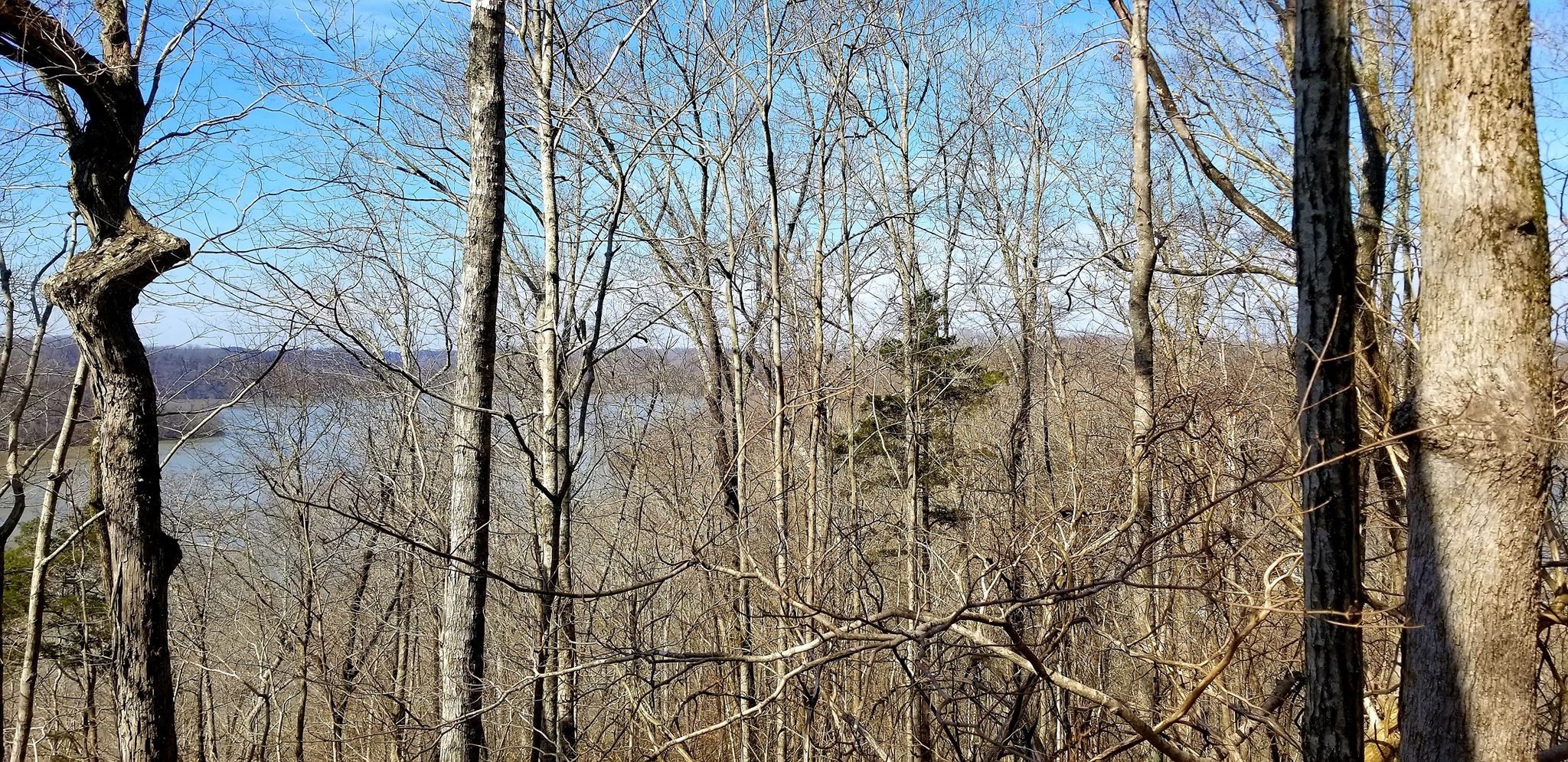 19 Falling Water Road Sparta, TN 38583 - Photo 3 of 15 Gallery Image 3