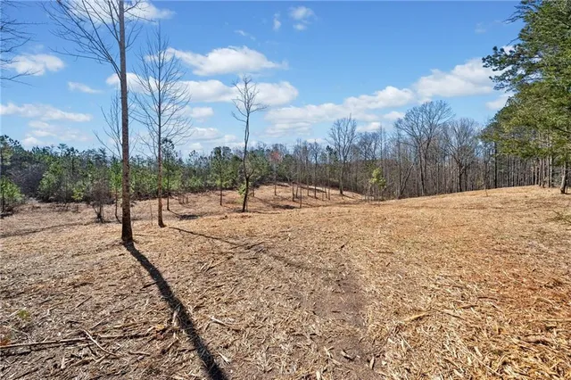 a view of a yard with a tree