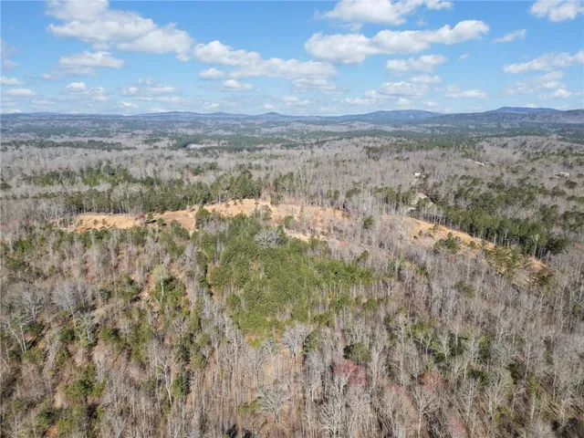a view of a pathway with a yard