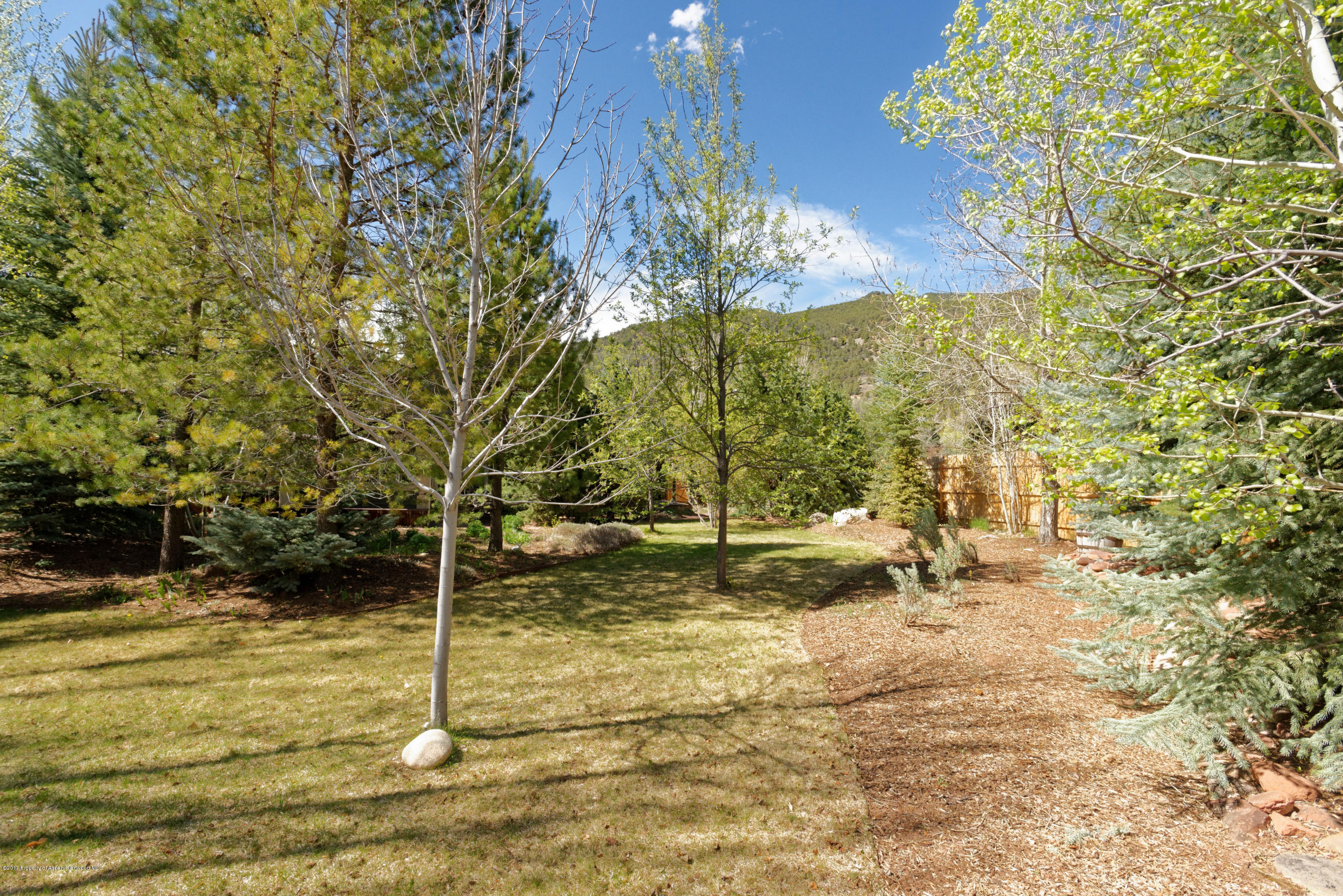 295 Riverside Drive Basalt, CO 81621 - Photo 26 of 27 a view of a yard