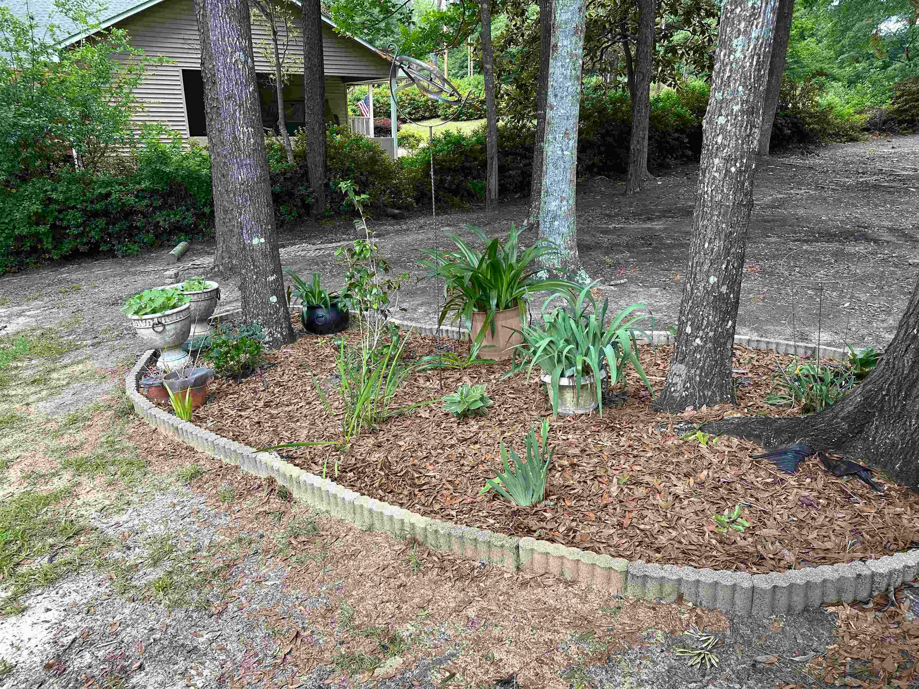 29953 Twin Oaks Road Andalusia, AL 36421 - Photo 16 of 26 Gallery Image 16