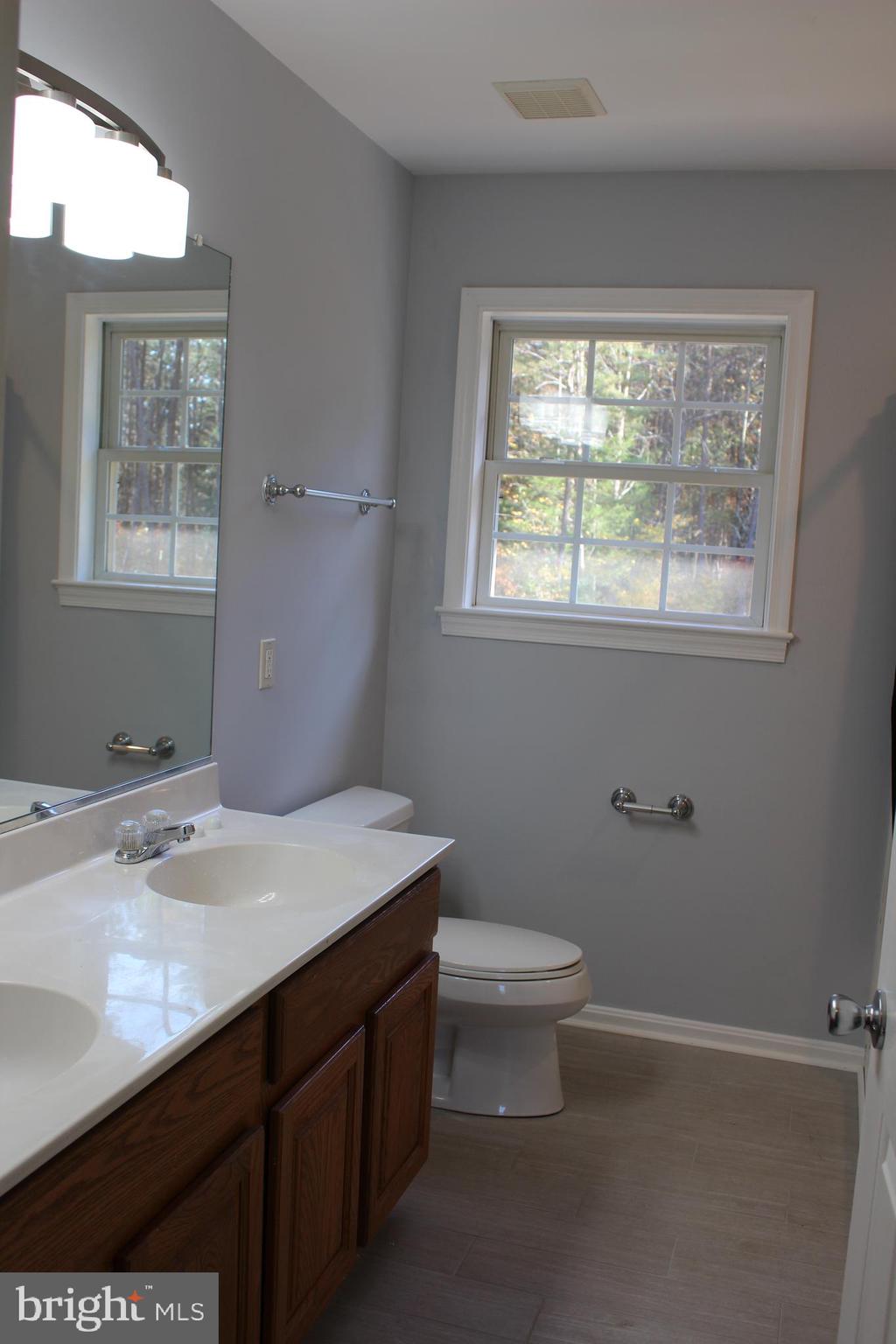 26329 Old Mill Road Unionville, VA 22567 - Photo 17 of 64 Full Bath #2