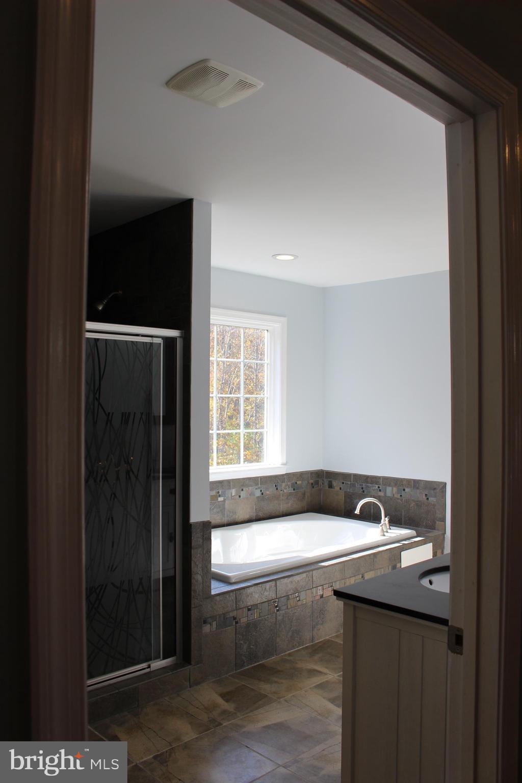26329 Old Mill Road Unionville, VA 22567 - Photo 25 of 64 Master Bath #2