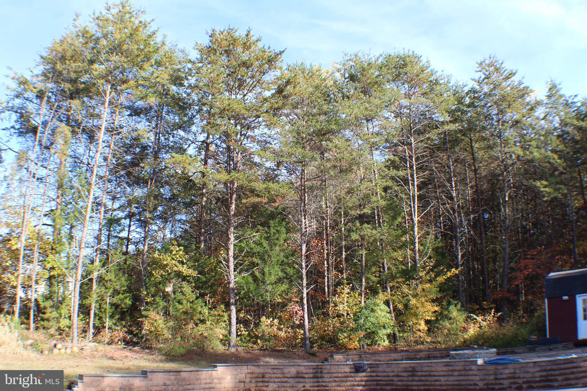 26329 Old Mill Road Unionville, VA 22567 - Photo 32 of 64 Backyard