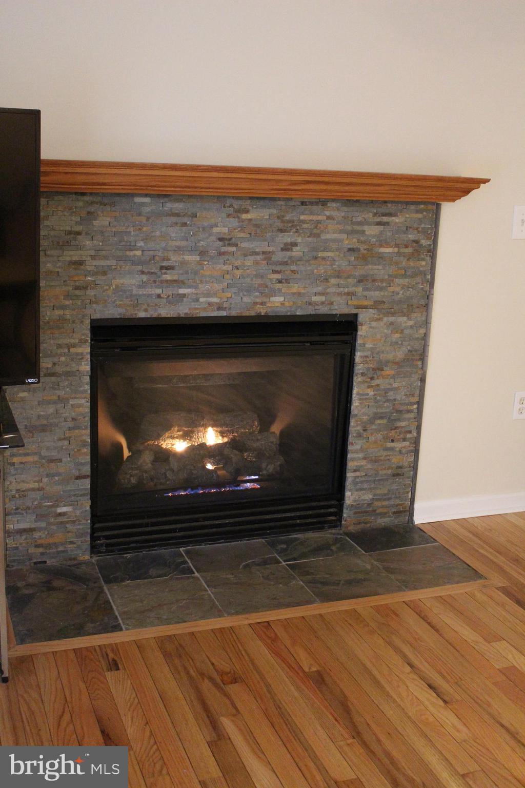 26329 Old Mill Road Unionville, VA 22567 - Photo 51 of 64 Gas Firelace