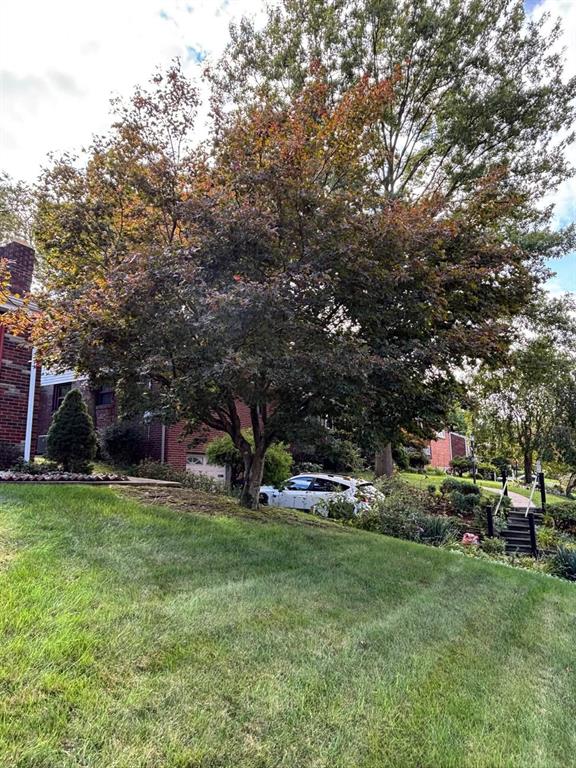 71 West Bruceton Road Pittsburgh, PA 15236 - Photo 16 of 17 Gallery Image 16