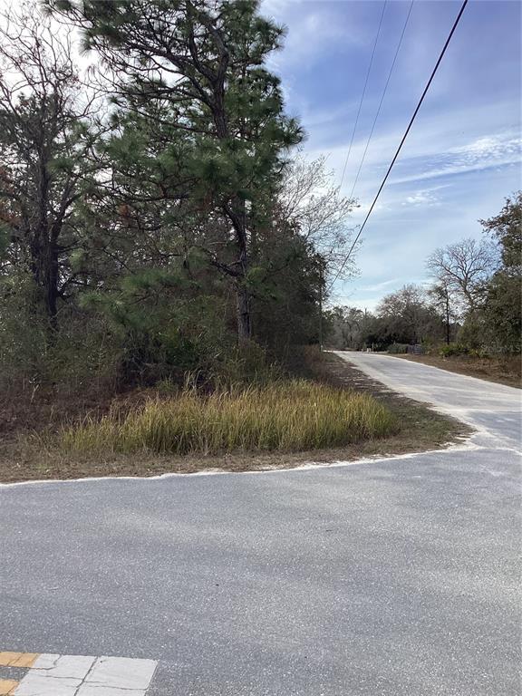 12449 Indigo Bunting Road Weeki Wachee, FL 34614 - Photo 2 of 6