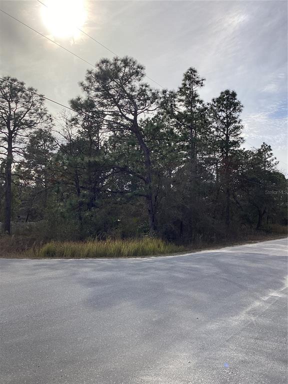 12449 Indigo Bunting Road Weeki Wachee, FL 34614 - Photo 3 of 6