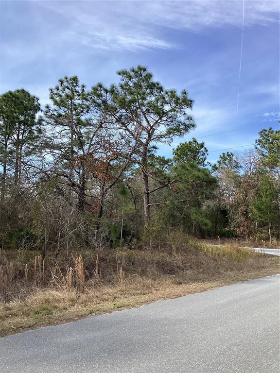 12449 Indigo Bunting Road Weeki Wachee, FL 34614 - Photo 4 of 6