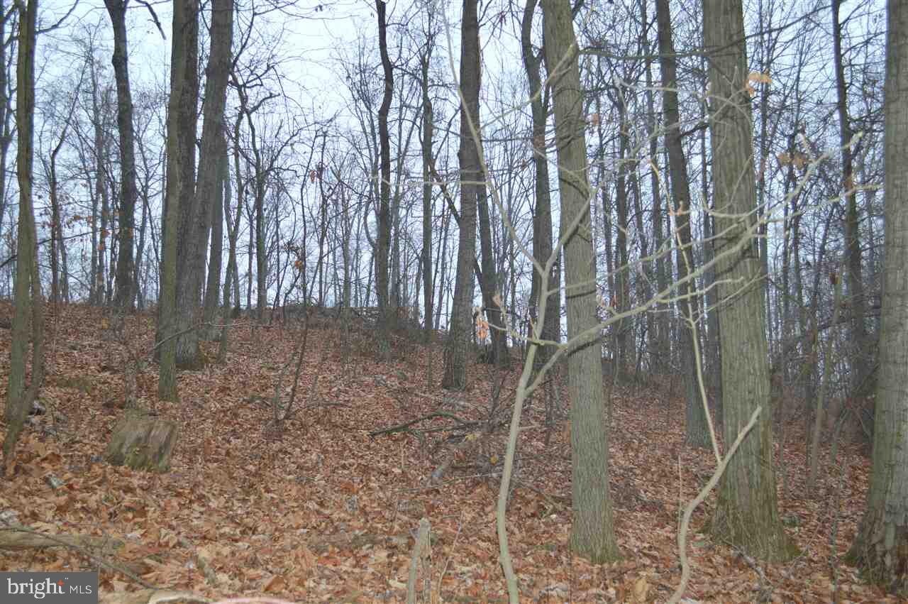 660H Green Springs Road Hanover, PA 17331 - Photo 29 of 30 Gallery Image 29