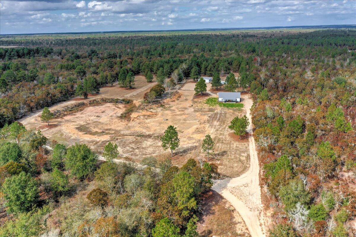 207 Bonnett Road Williston, SC 29853 - Photo 6 of 75 6