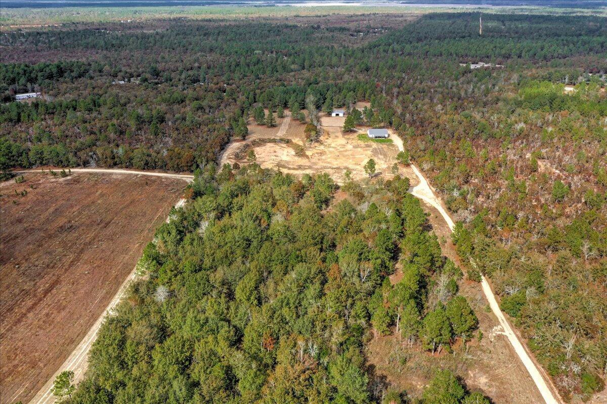207 Bonnett Road Williston, SC 29853 - Photo 8 of 75 8