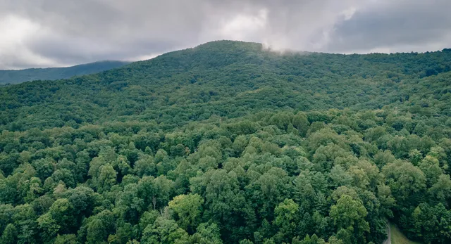 $895,000 | 0 Crowell Gap Road, Roanoke, VA 24014