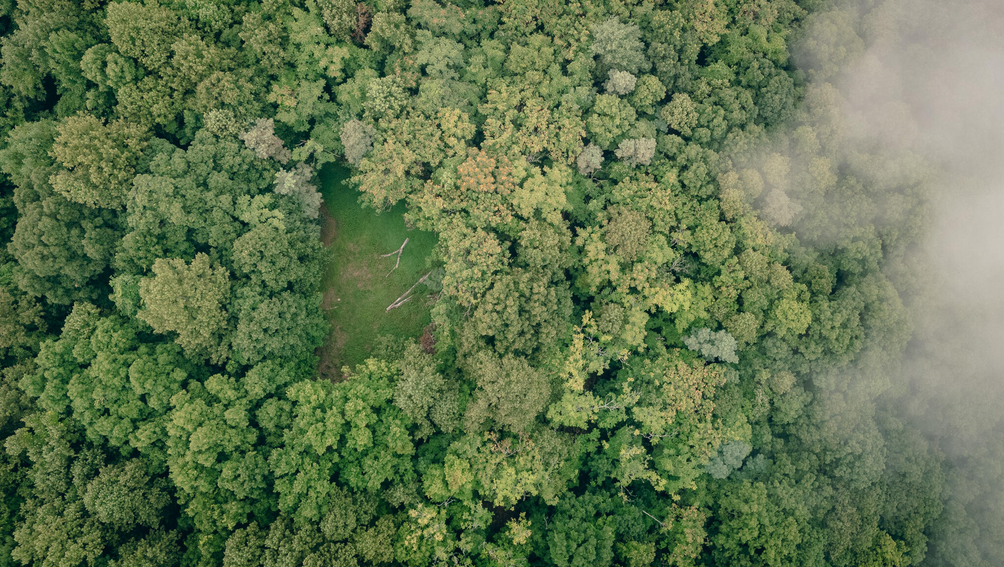 0 Crowell Gap Road Roanoke, VA 24014 - Photo 12 of 18 Grissom 8