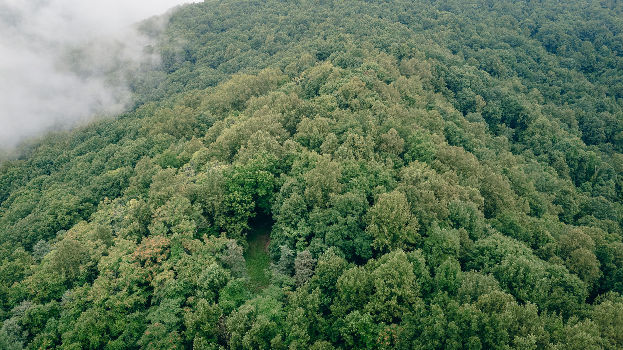 0 Crowell Gap Road Roanoke, VA 24014 - Photo 13 of 18 Grissom 5