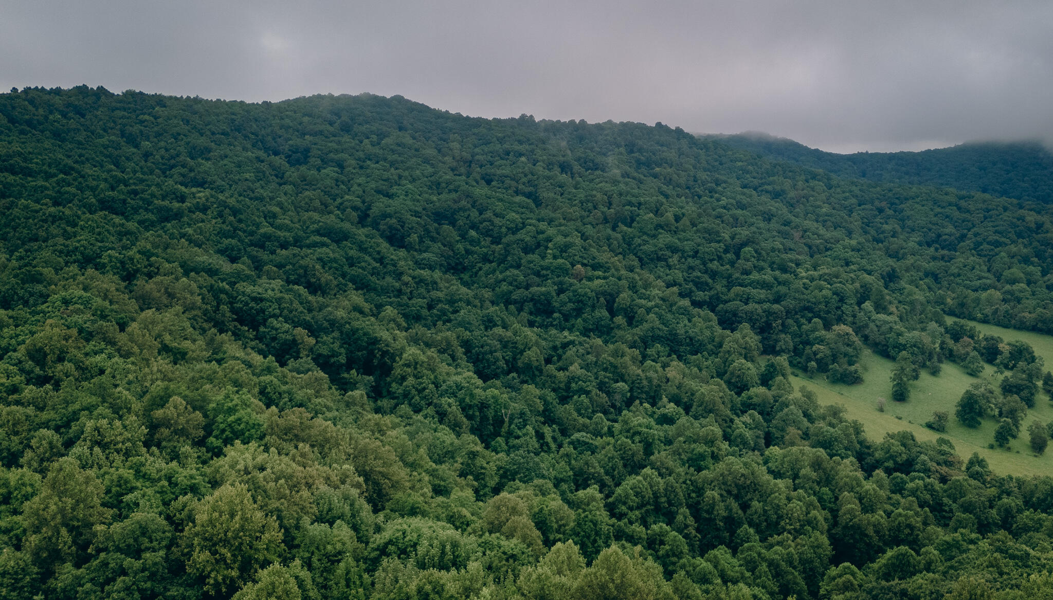 0 Crowell Gap Road Roanoke, VA 24014 - Photo 14 of 18 Grissom 11