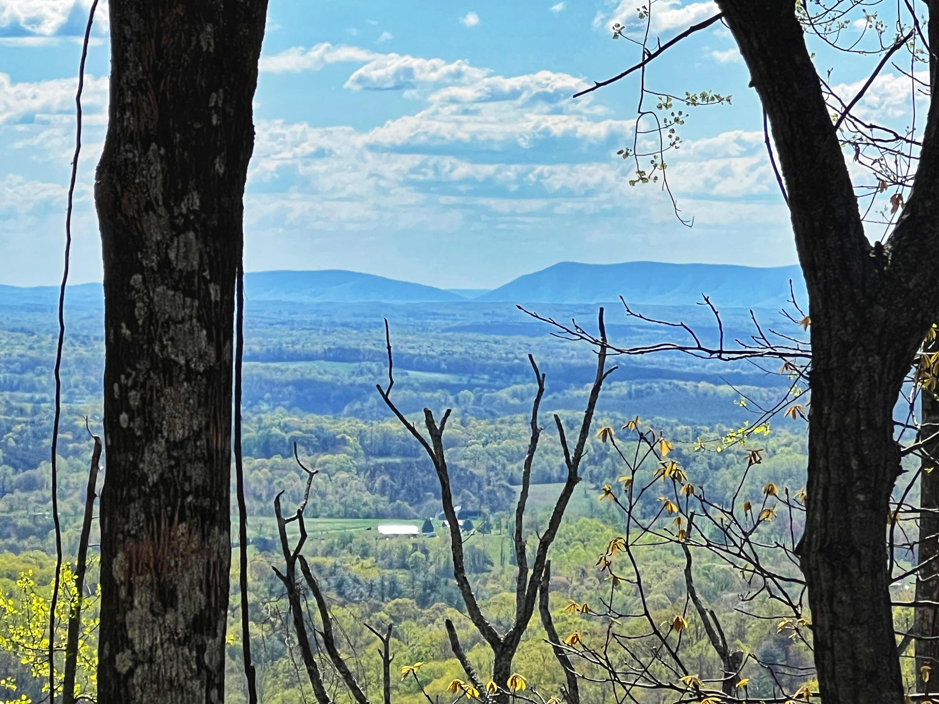 0 Crowell Gap Road Roanoke, VA 24014 - Photo 18 of 18 Grissom SML dam pic