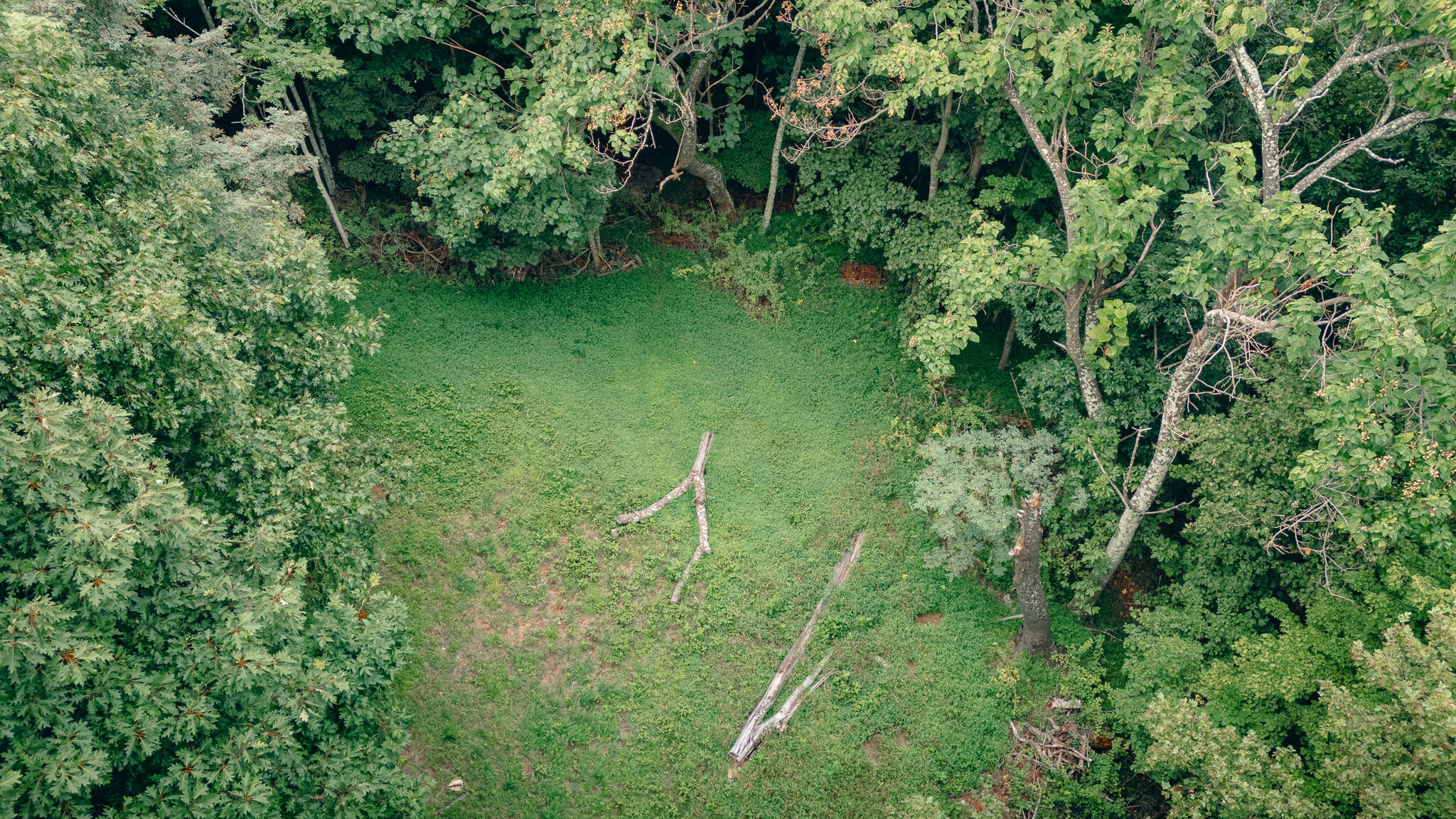 0 Crowell Gap Road Roanoke, VA 24014 - Photo 2 of 18 Grissom 9