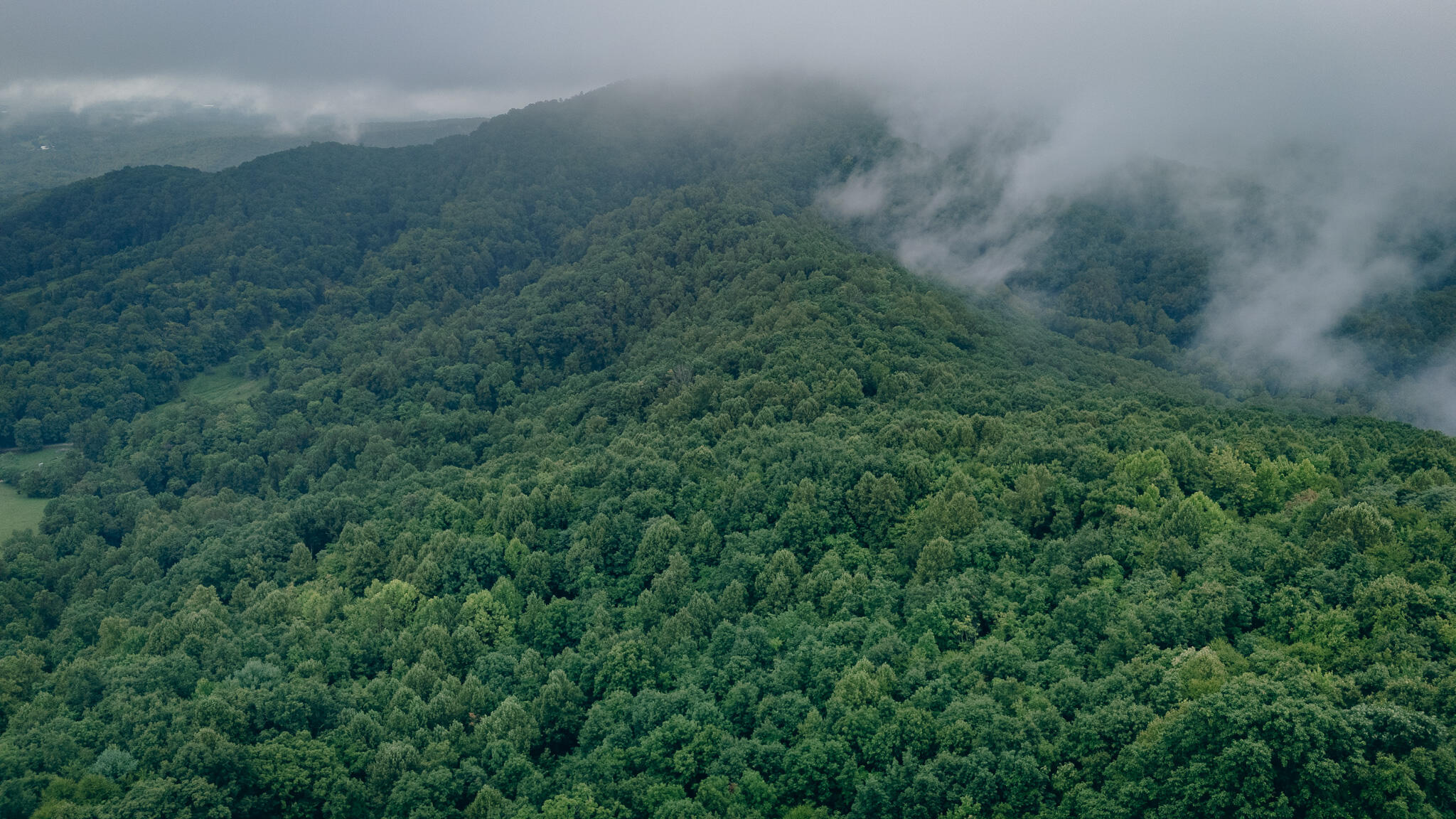 0 Crowell Gap Road Roanoke, VA 24014 - Photo 7 of 18 Grissom 2
