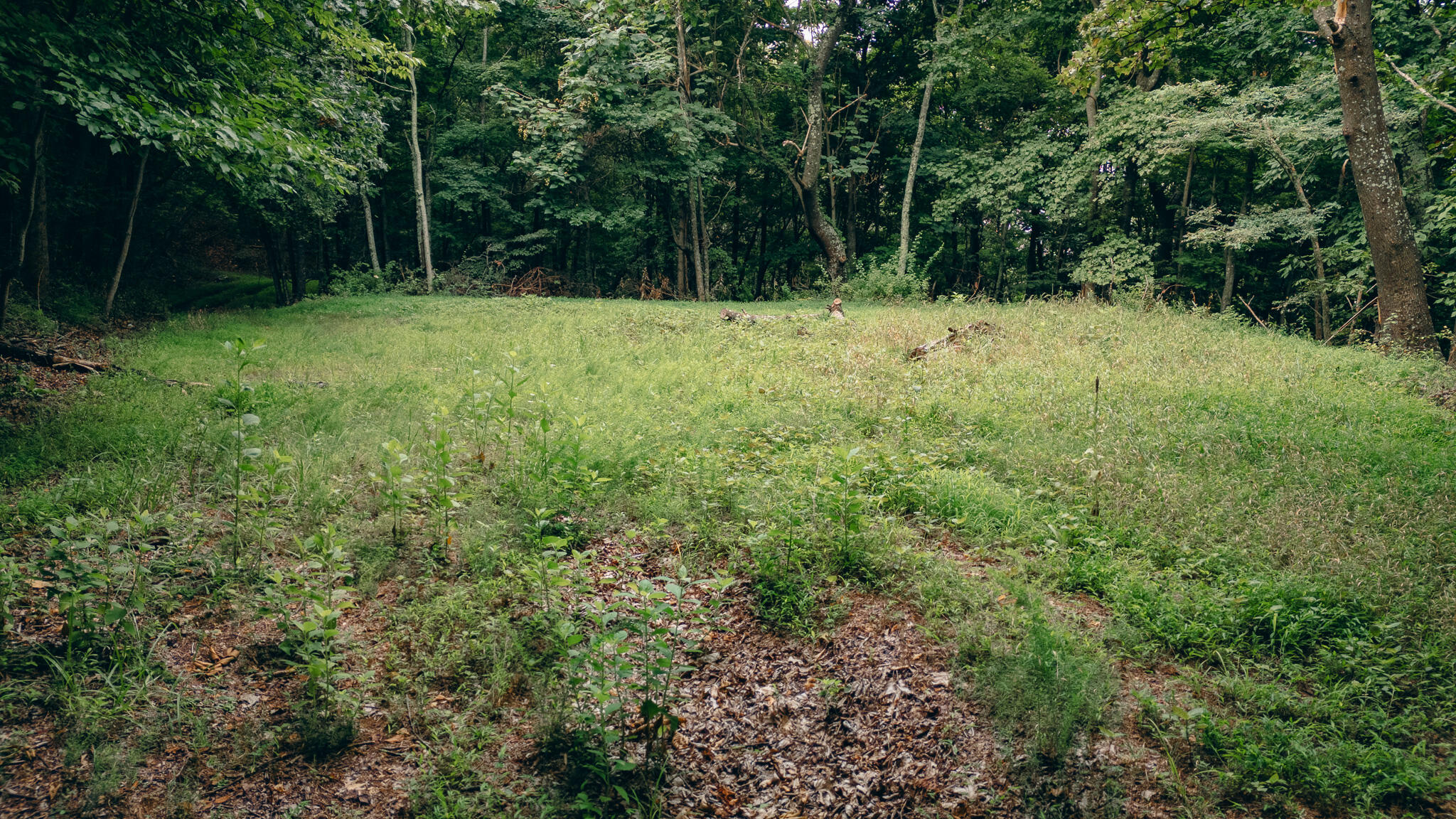 0 Crowell Gap Road Roanoke, VA 24014 - Photo 8 of 18 Grissom 10