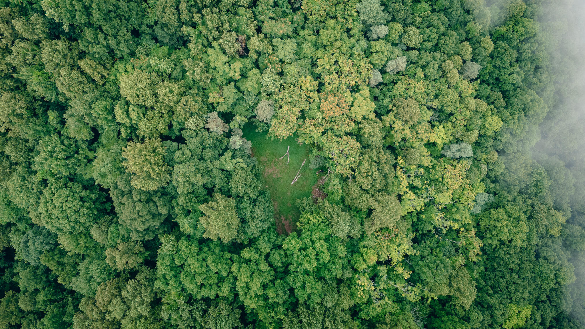0 Crowell Gap Road Roanoke, VA 24014 - Photo 9 of 18 Grissom 6