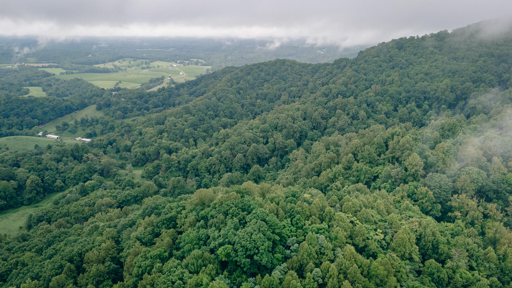 0 Crowell Gap Road Roanoke, VA 24014 - Photo 10 of 18 Grissom 12