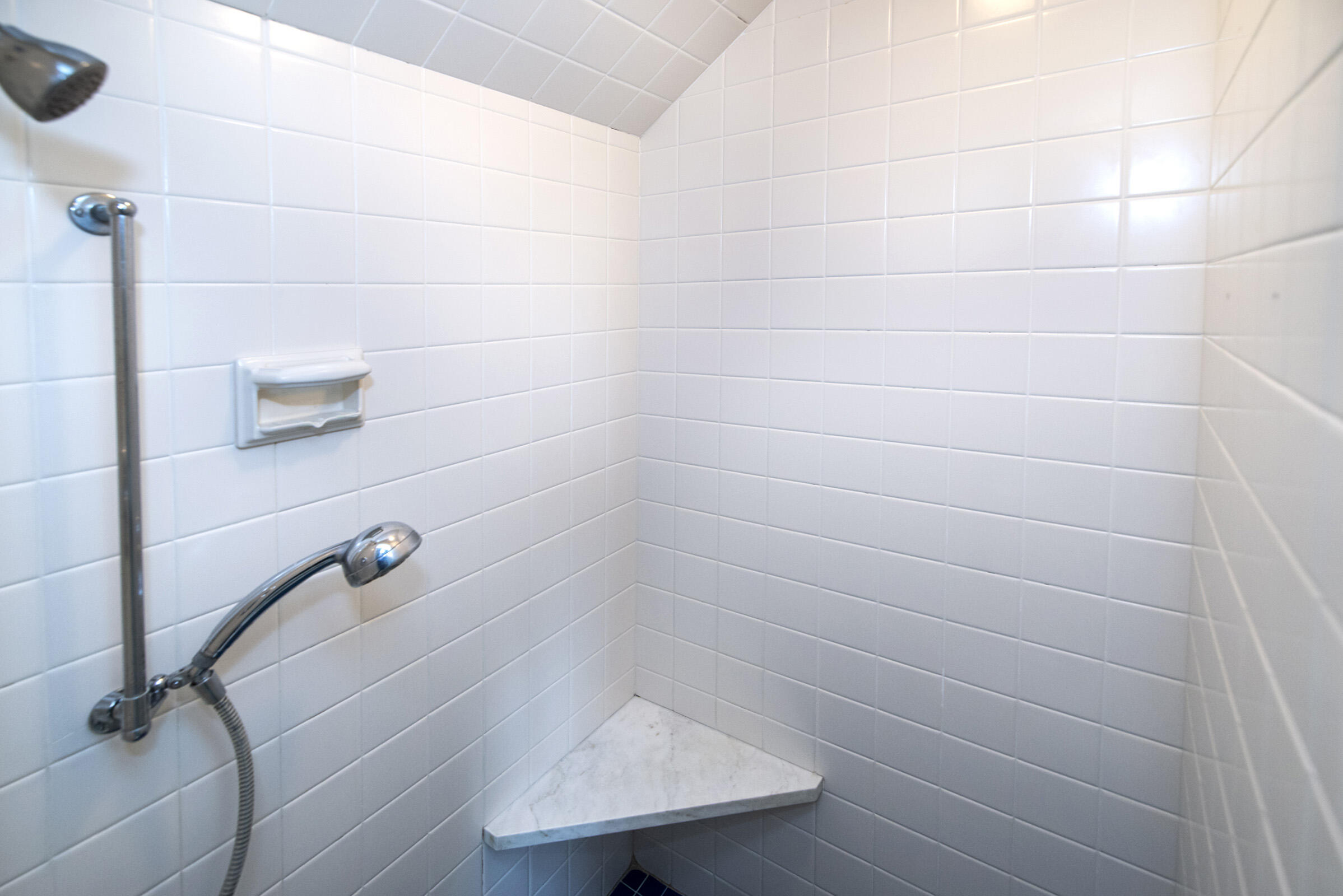 127 East Fox Dale Road Glendale, WI 53217 - Photo 35 of 79 Shower Interior