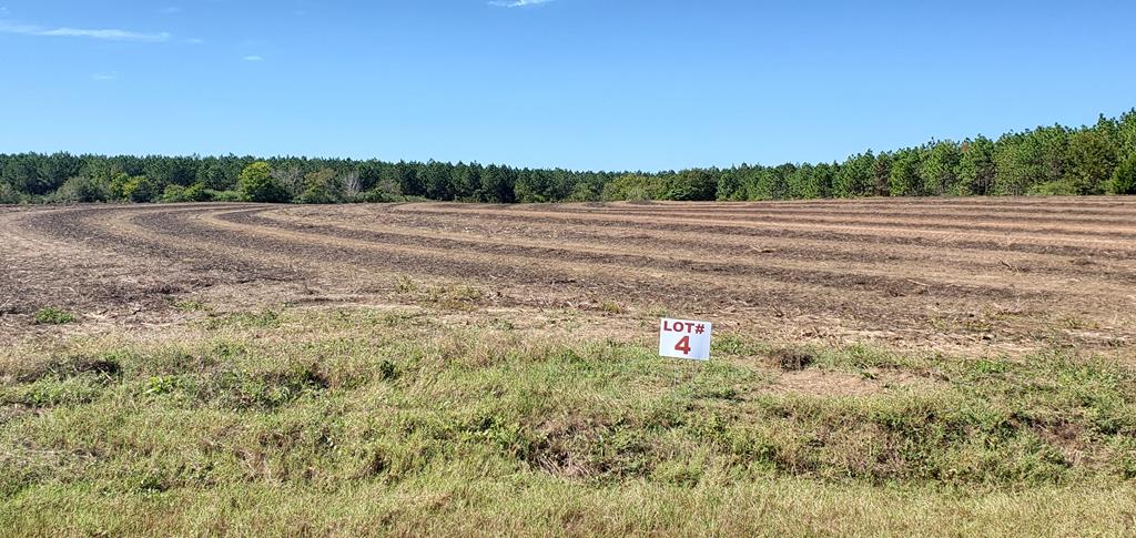 6-acres 6-acres Dawsey Road Dothan, AL 36301 - Photo 1 of 1