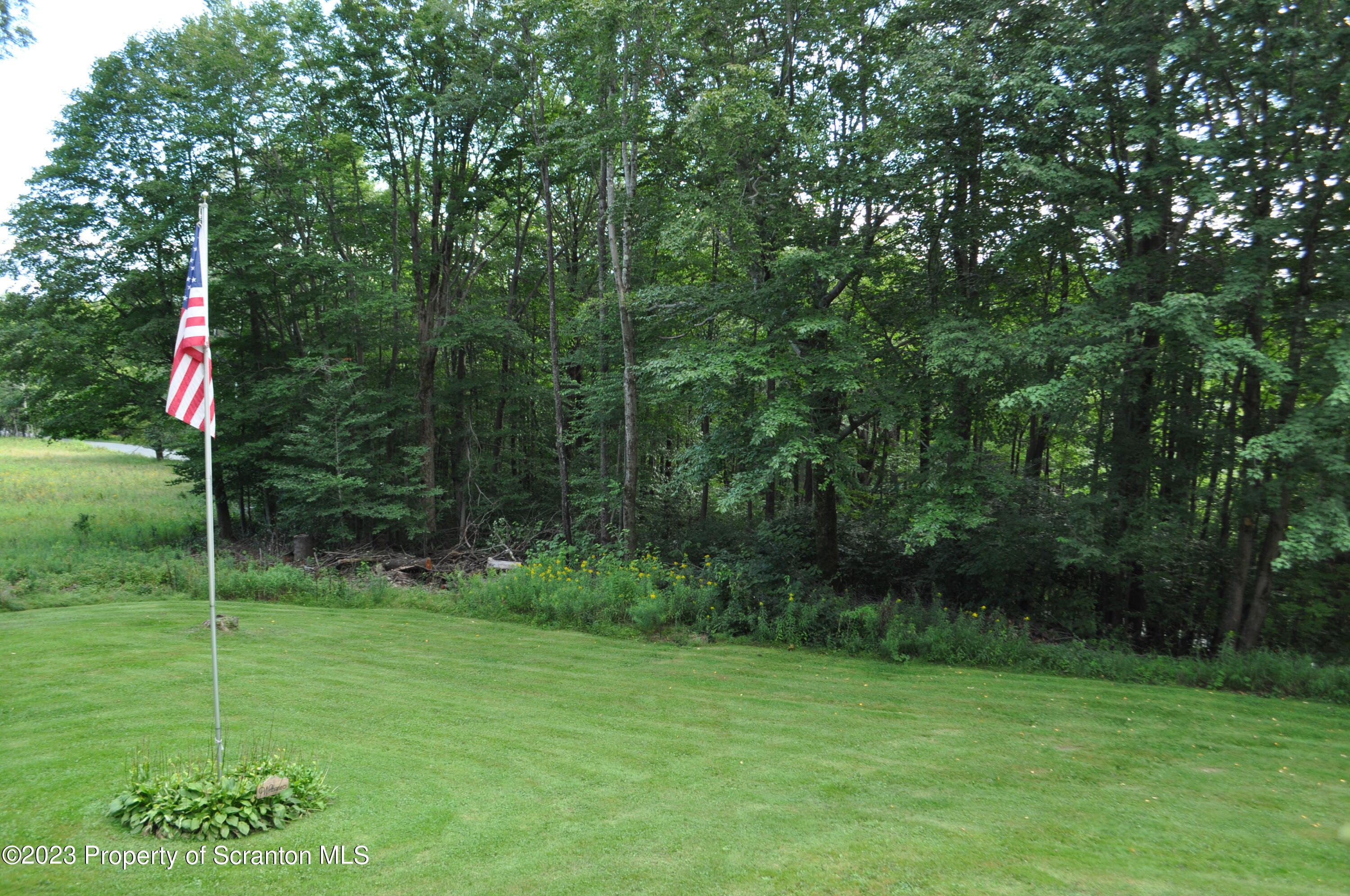 386 Scott Center Road Starrucca, PA 18462 - Photo 20 of 21 View from front deck
