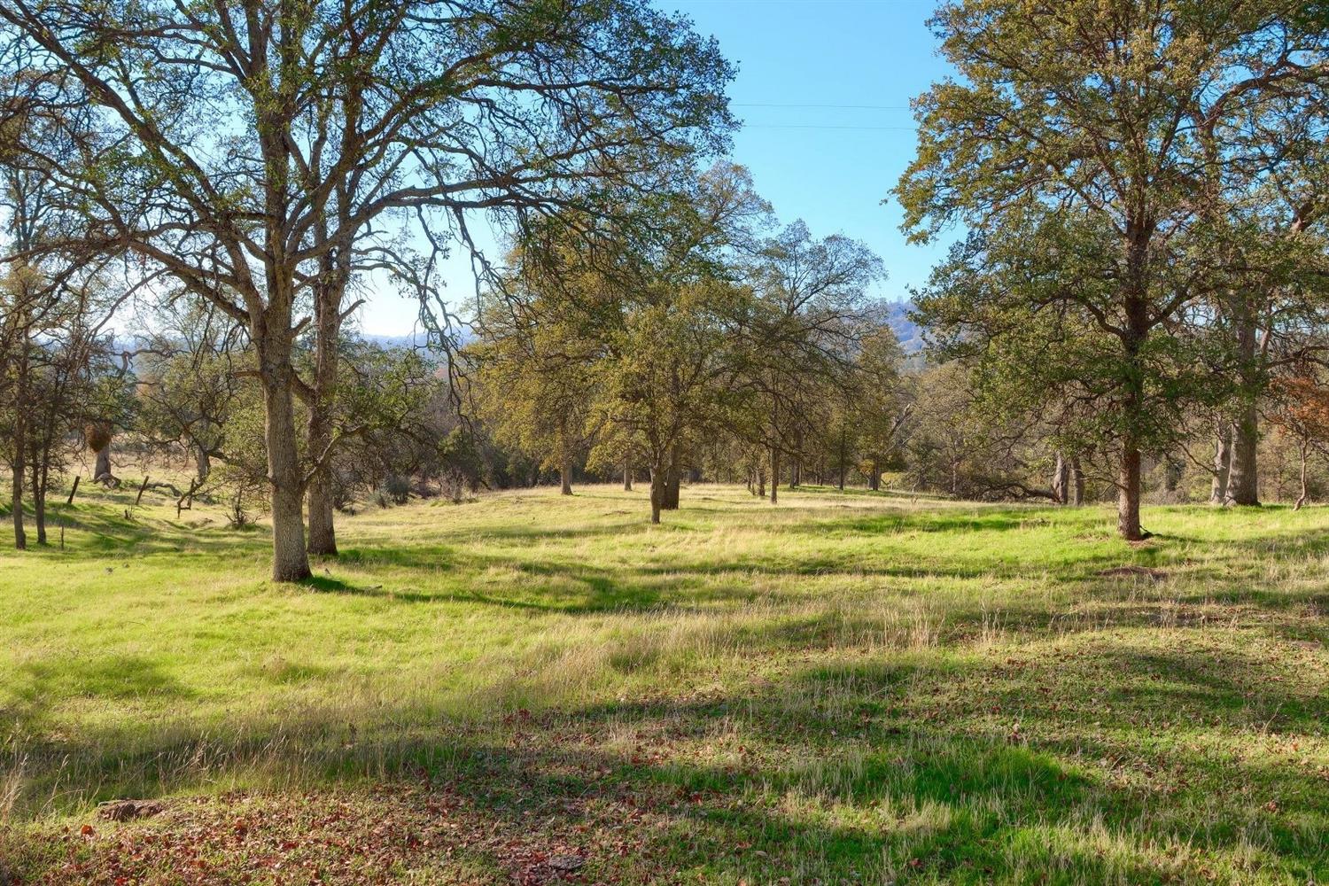 3979 Oak Grove Road Mariposa, CA 95338 - Photo 13 of 25 Gallery Image 13