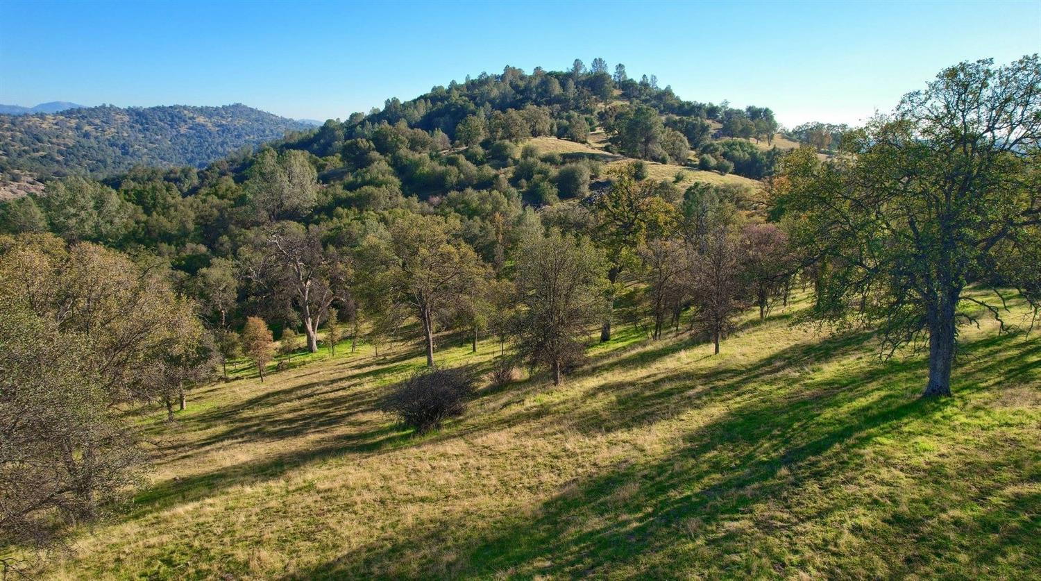 3979 Oak Grove Road Mariposa, CA 95338 - Photo 14 of 25 Gallery Image 14