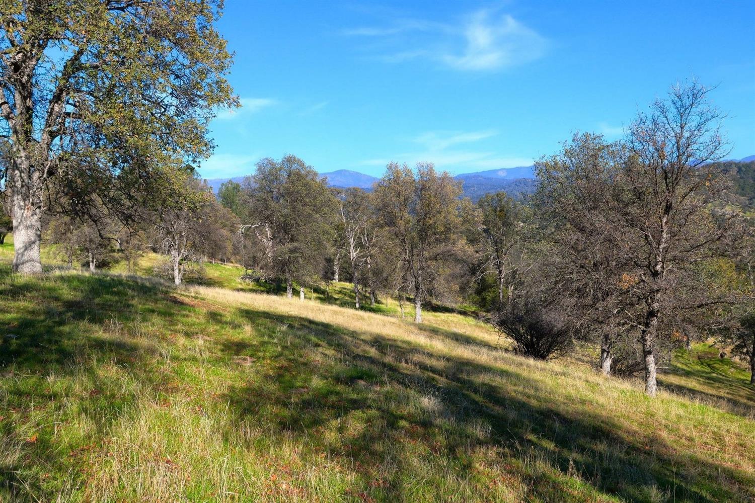 3979 Oak Grove Road Mariposa, CA 95338 - Photo 17 of 25 Gallery Image 17