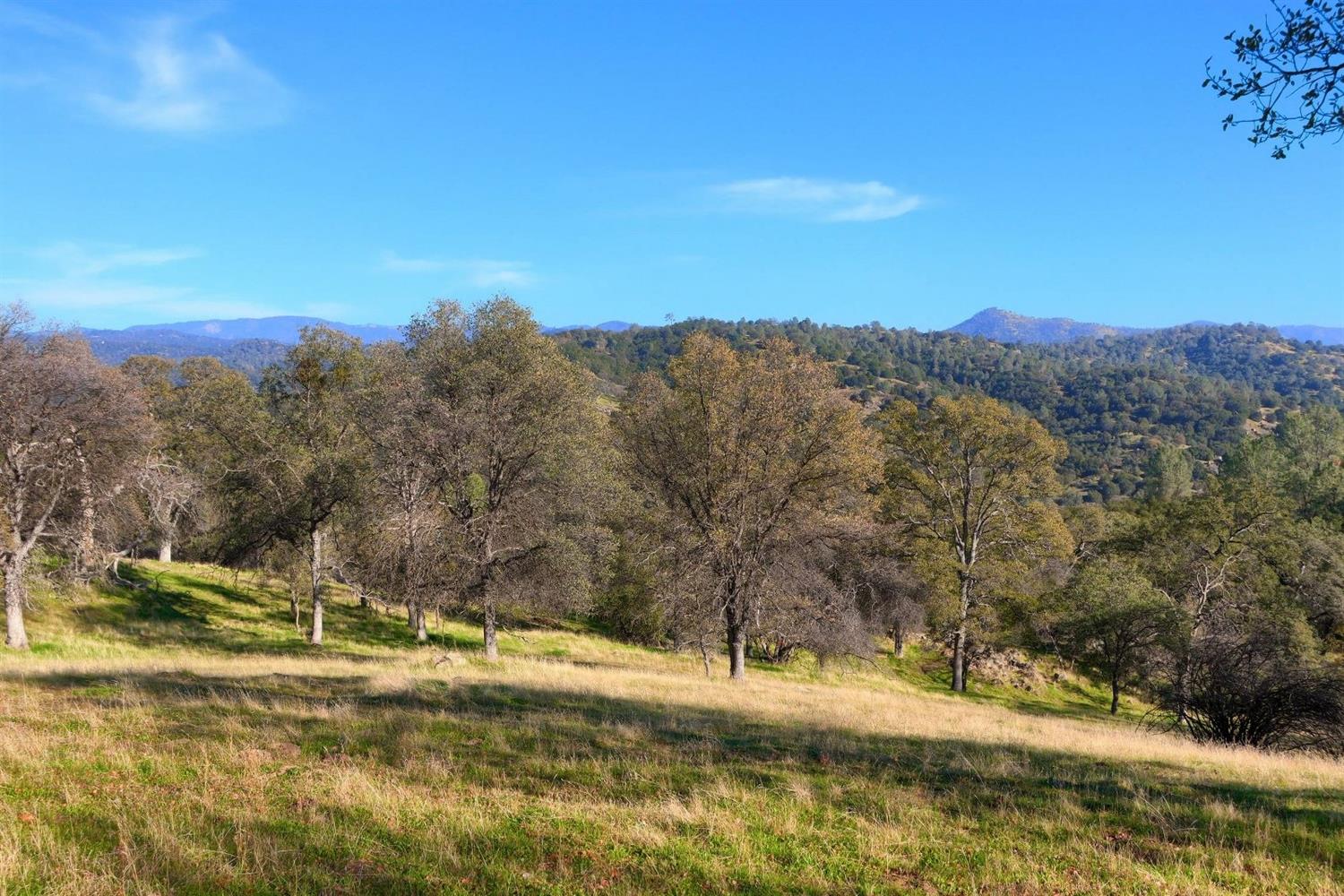 3979 Oak Grove Road Mariposa, CA 95338 - Photo 22 of 25 Gallery Image 22