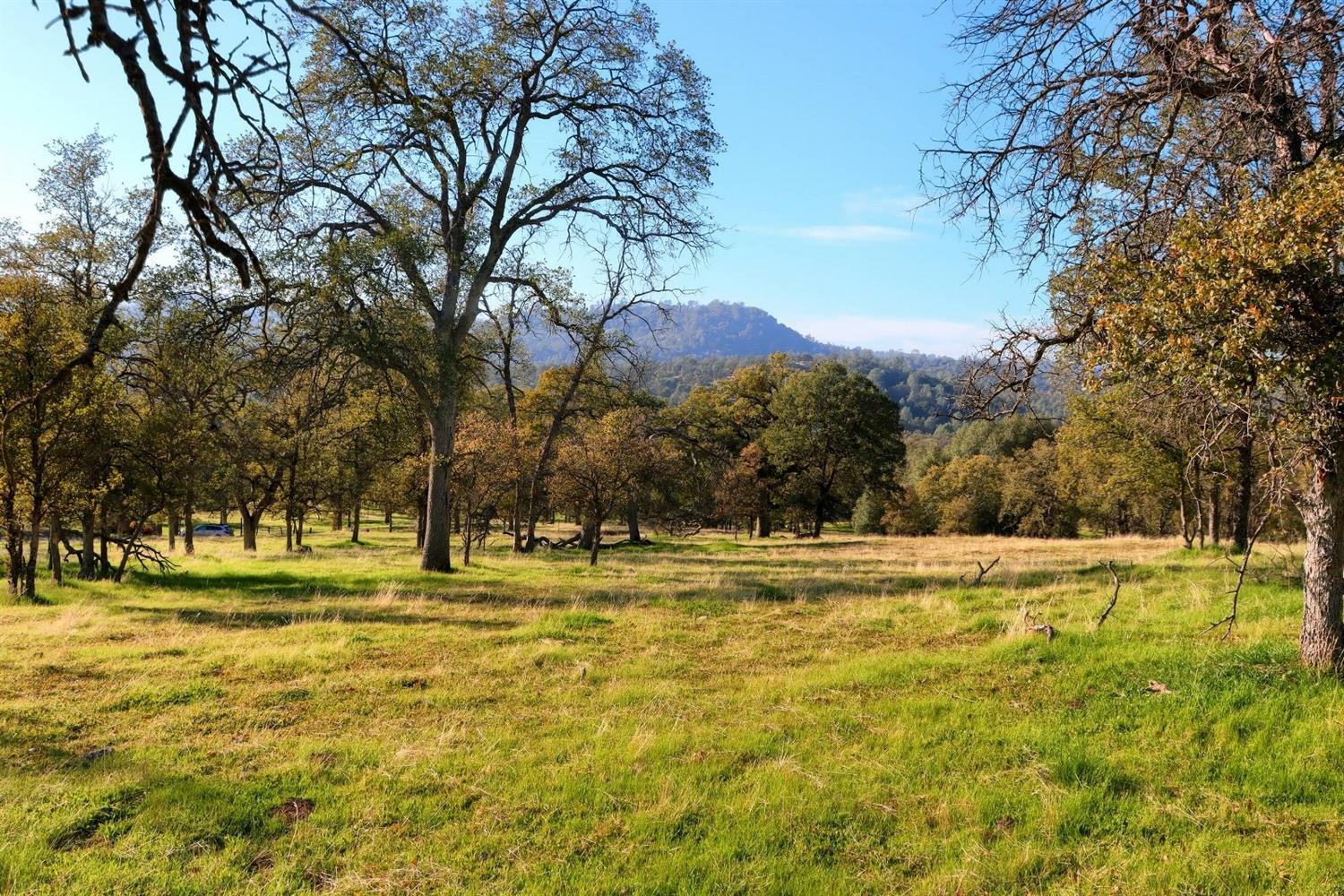 3979 Oak Grove Road Mariposa, CA 95338 - Photo 4 of 25 Gallery Image 4