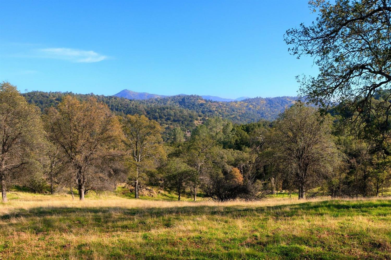 3979 Oak Grove Road Mariposa, CA 95338 - Photo 5 of 25 Gallery Image 5