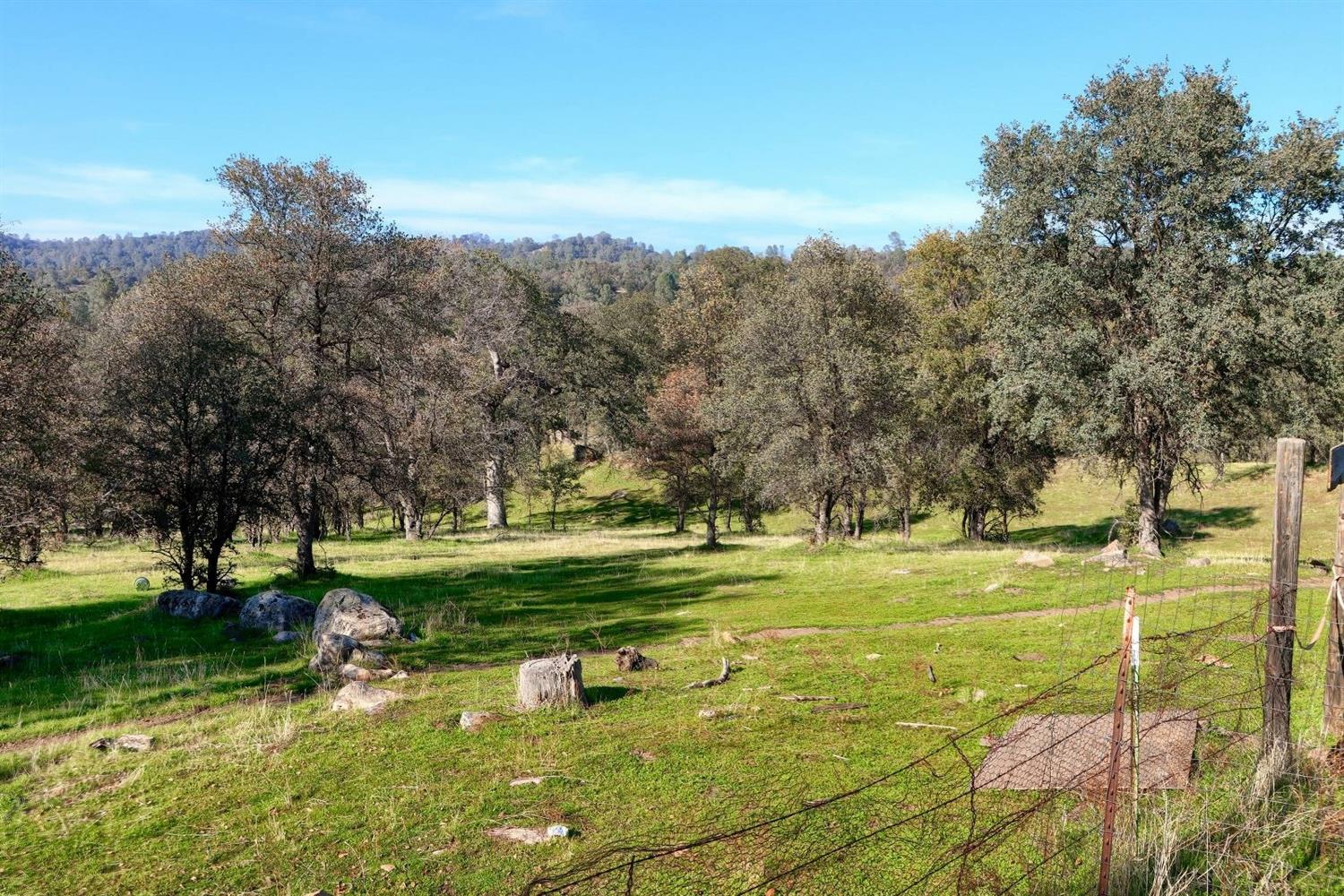 3979 Oak Grove Road Mariposa, CA 95338 - Photo 6 of 25 Gallery Image 6