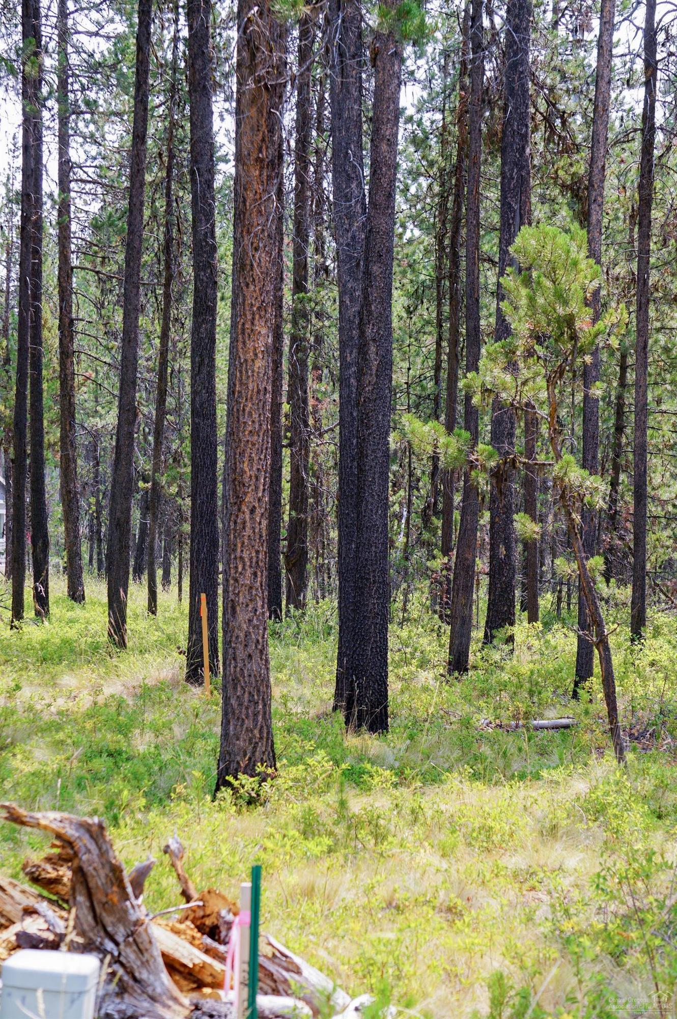 56300 Tree Duck Road Bend, OR 97707 - Photo 3 of 10 Additional Photo