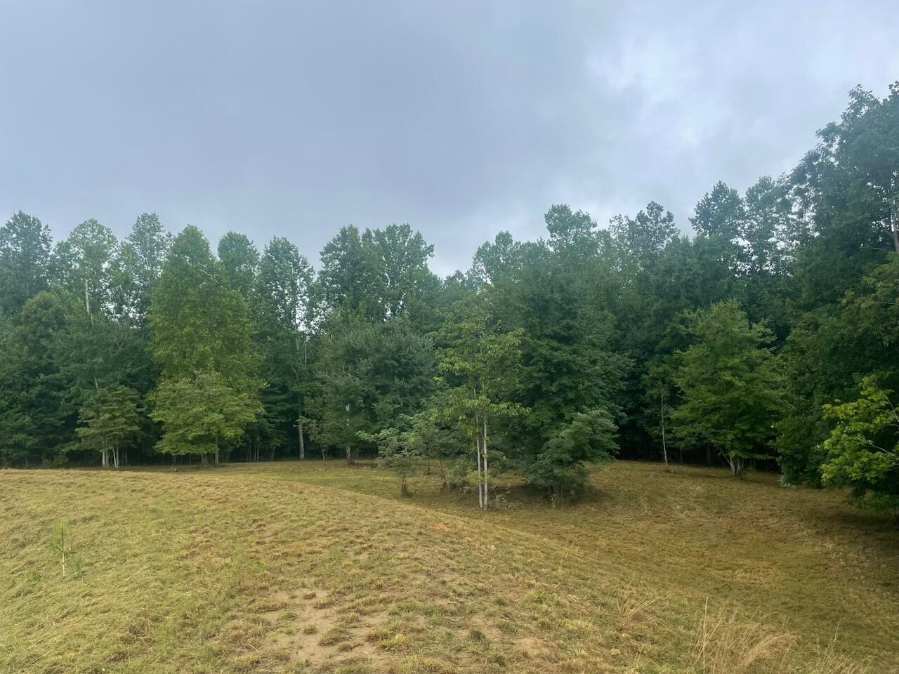 460 Cherokee Path, Unit JF280 Jasper, TN 37347 - Photo 13 of 29 7BFE2546-EA85-482E-A224-BF9079D2D83D