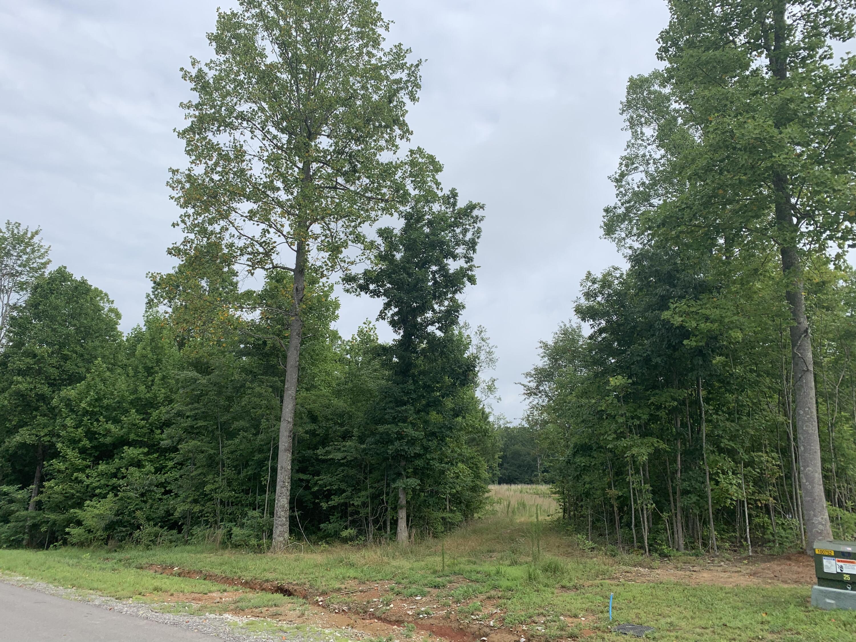 460 Cherokee Path, Unit JF280 Jasper, TN 37347 - Photo 5 of 29 9AAB6218-A002-49BB-B815-8BD339433E6E