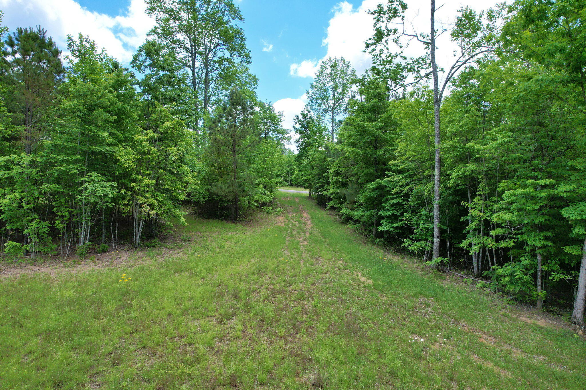 460 Cherokee Path, Unit JF280 Jasper, TN 37347 - Photo 6 of 29 56-web-or-mls-DJI_0804