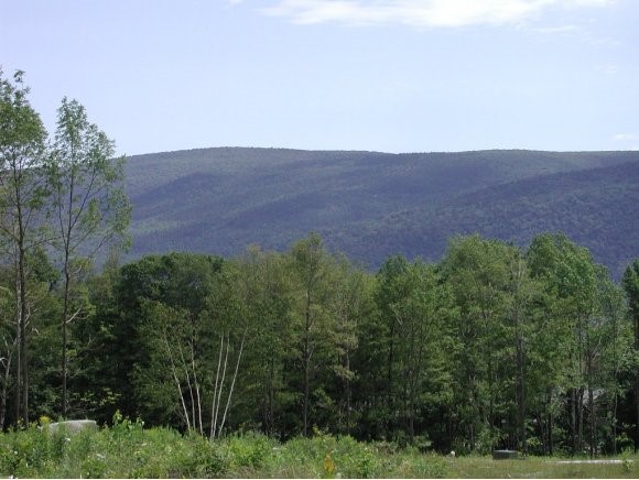 120 Summit View Manchester, VT 05255 - Photo 1 of 1 Gallery Image 1