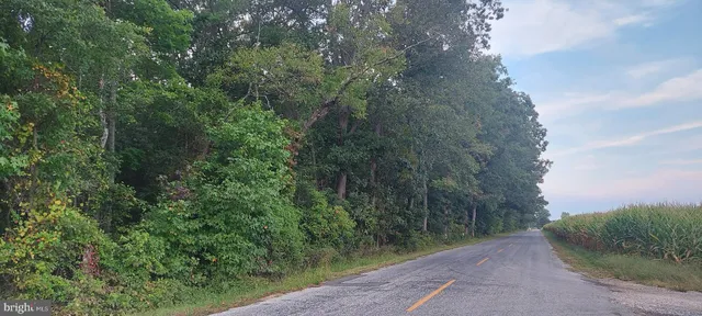 a view of a pathway both side of yard