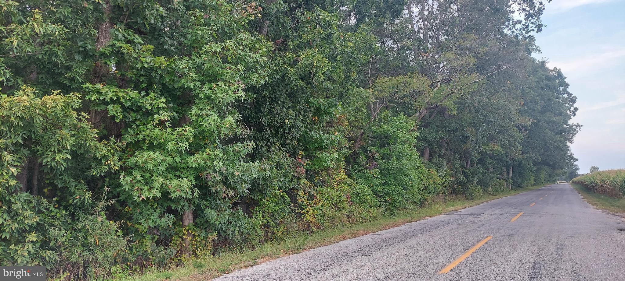 0 McKishen Road Pittsgrove, NJ 08318 - Photo 2 of 5