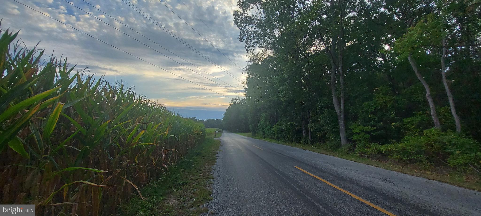 0 McKishen Road Pittsgrove, NJ 08318 - Photo 3 of 5