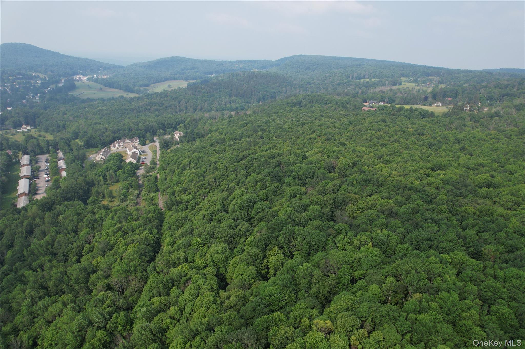 Tbd Timberwolf Road West Liberty, NY 12754 - Photo 17 of 27 Gallery Image 17