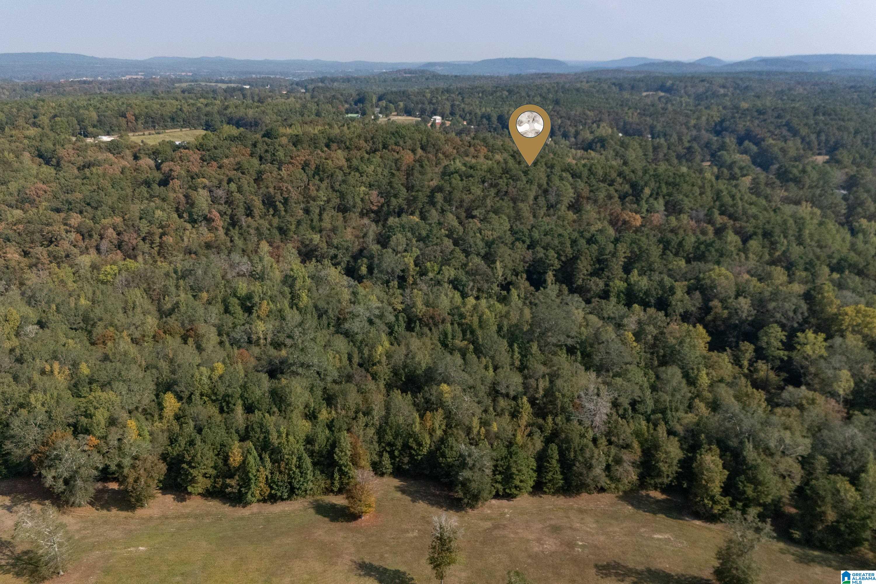 2787 Deavers Town Road Cleveland, AL 35049 - Photo 37 of 47