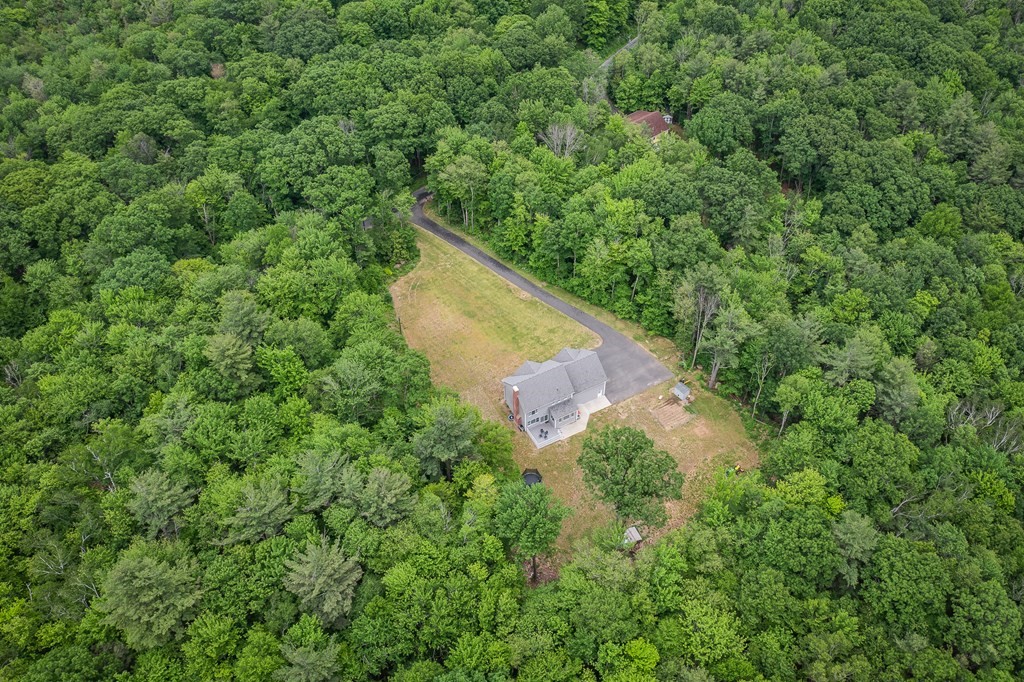77 Jourdan Road Montgomery, MA 01085 - Photo 8 of 42 a view of a forest with a house in a back yard