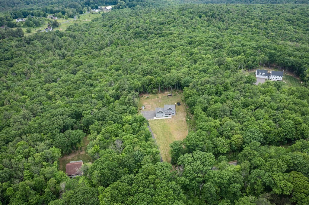 77 Jourdan Road Montgomery, MA 01085 - Photo 9 of 42 a view of a forest with a fountain