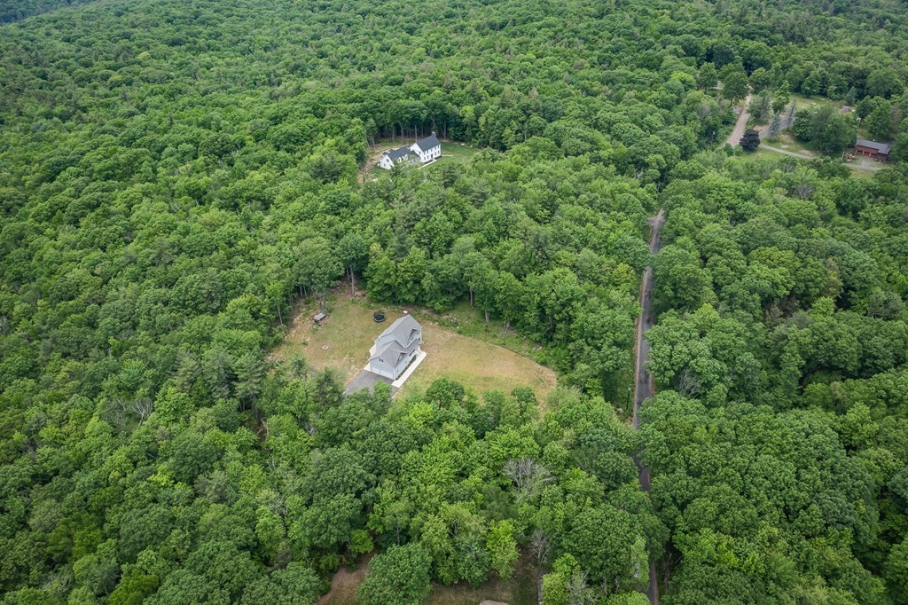 77 Jourdan Road Montgomery, MA 01085 - Photo 10 of 42 a view of a lush green forest