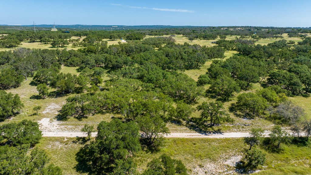 315 Rieger Road Harper, TX 78631 - Photo 21 of 31 an aerial view of residential houses with outdoor space and trees